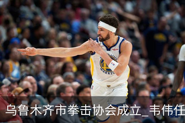 乌鲁木齐市拳击协会成立 韦伟任会长